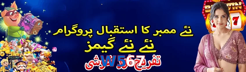 W567 interface sample